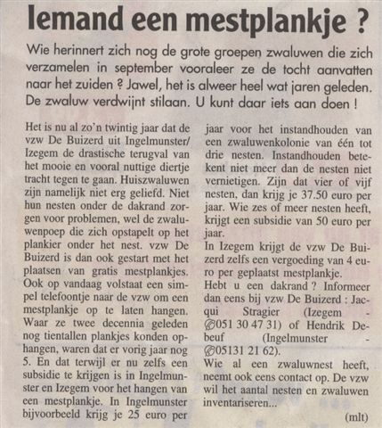 vzw de buizerd hangt mestplankjes ter bescherming van zwaluwnesten