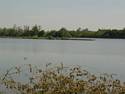 Etang de Romelare (Clairmarais - Fr)