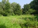 vlinderweide