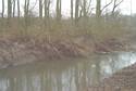 belemmering water door omgevallen bomen en struiken