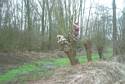 knotten van wilg