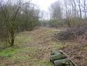 opgeruimd wandelpad