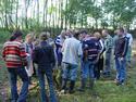 thema wandeling : paddestoelen