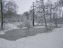 Kikkerpoel