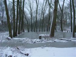 winterbeeld vierkante vijver